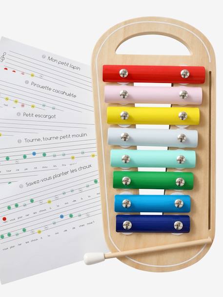 Xilofone com partituras Montessori multicolor 