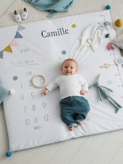 Preparar a chegada do bebé - Personalizáveis-Brinquedos-Tapete cenário de fotografias personalizável, para bebé