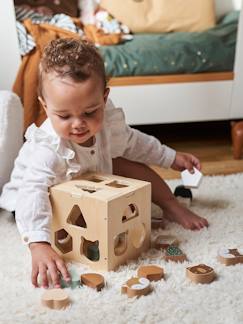 Primeiras manipulações do bebé-Brinquedos-Primeira idade-Caixa com animais para encaixar, Green Forest