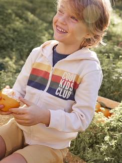 Menino 2-14 anos-Camisolas, casacos de malha, sweats-Sweatshirts-Casaco com fecho e capuz, animação às riscas, para menino