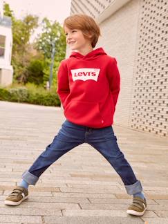Denim-Menino 2-14 anos-Calças-Jeans skinny para criança LVB 510 da Levi's®