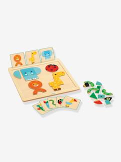 Brinquedos-Jogos educativos- Puzzles-Jogo magnético GeoBasic, da DJECO