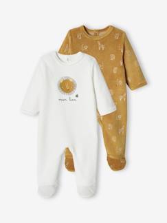 Bebé 0-36 meses-Lote de 2 pijamas leão, em veludo, para bebé menino