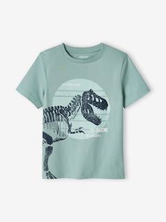 T-shirt com dinossauro grande, para menino
