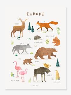 Têxtil-lar e Decoração-Póster Animais da Europa, Living Earth da LILIPINSO