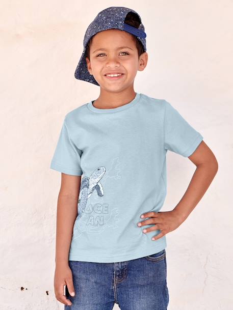 T-shirt animal, em puro algodão bio, para menino azul-céu+cinza mesclado+verde-salva 