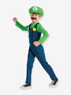 Disfarce de Luigi Fancy Dress, DISGUISE verde 