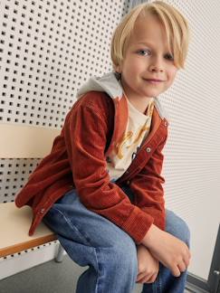 Menino 2-14 anos-Camisas-Camisa em veludo, com capuz, efeito 2 em 1, para menino