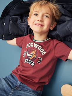 Menino 2-14 anos-T-shirts, polos-T-shirts-T-shirt com raposa engraçada, para menino