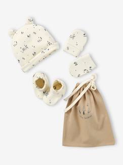 Bebé 0-36 meses-Acessórios-Gorros, cachecóis, luvas-Conjunto gorro + luvas de polegar + sapatinhos + bolsa, para bebé