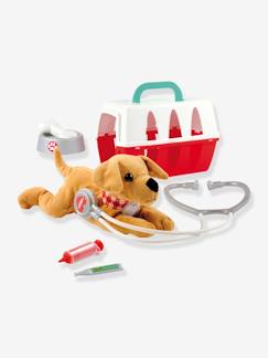 Brinquedos-Transportadora de veterinário 24 cm - ECOIFFIER
