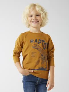 Menino 2-14 anos-T-shirts, polos-Camisola Basics com motivo, mangas compridas, para menino