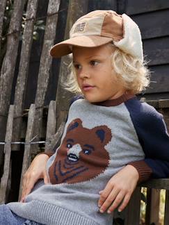 Menino 2-14 anos-Camisolas, casacos de malha, sweats-Camisola em jacquard com urso, mangas raglan, para menino