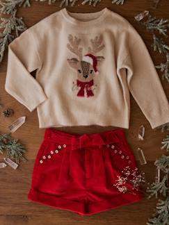 Menina 2-14 anos-Camisolas, casacos de malha, sweats-Conjunto de Natal: camisola jacquard "Rena" + 2 elásticos para menina