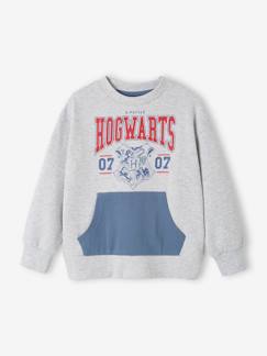 Menino 2-14 anos-Camisolas, casacos de malha, sweats-Sweat Harry Potter®, para criança