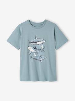 Materiais Reciclados-Menino 2-14 anos-T-shirt com animal, para menino