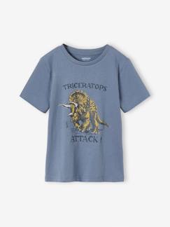 T-shirt dinossauro, para menino