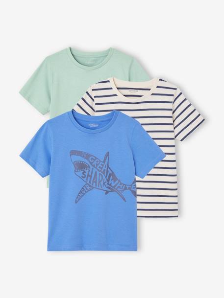 Lote de 3 t-shirts sortidas de mangas curtas, para menino azul-azure+branco mesclado+cappuccino+CASTANHO MEDIO BICOLOR/MULTICO+verde+verde-água 