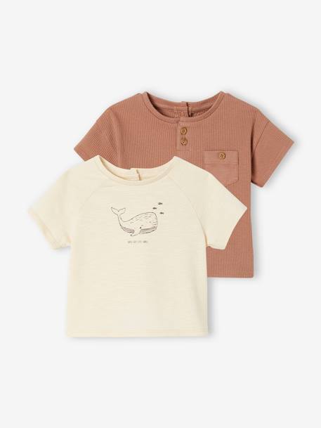 Lote de 2 t-shirts em algodão biológico, para recém-nascido moka 