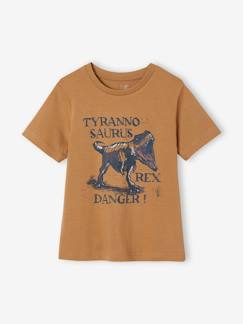 Menino 2-14 anos-T-shirts, polos-T-shirt dinossauro, para menino