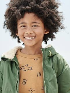Menino 2-14 anos-Camisolas, casacos de malha, sweats-Sweat tubarões, para menino