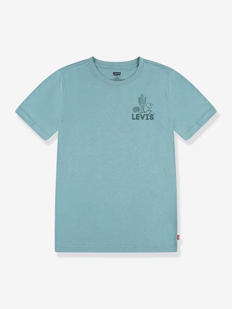 T-shirt gráfica, para criança, da Levi's® verde amêndoa 