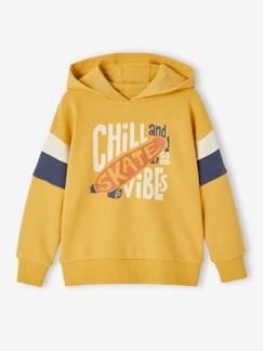 Menino 2-14 anos-Camisolas, casacos de malha, sweats-Sweatshirts-Sweat com capuz e motivo gráfico, mangas colorblock, para menino