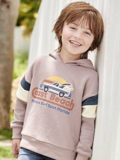 Menino 2-14 anos-Camisolas, casacos de malha, sweats-Sweatshirts-Sweat com capuz e motivo gráfico, mangas colorblock, para menino