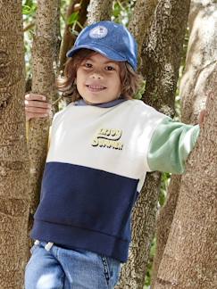 Menino 2-14 anos-Camisolas, casacos de malha, sweats-Sweat colorblock, com capuz, para menino