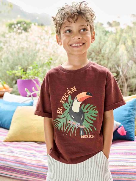T-shirt com tucano, para menino bordeaux 